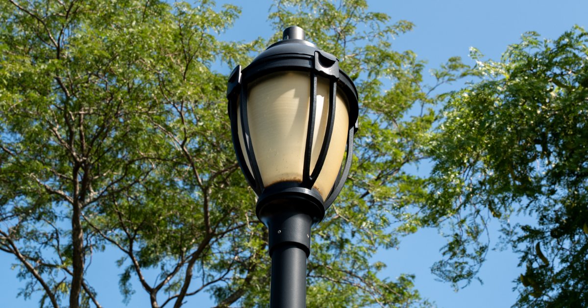 An outdoor solar lamp near a set of vibrant trees. It's daylight outside and the solar lap is turned off.