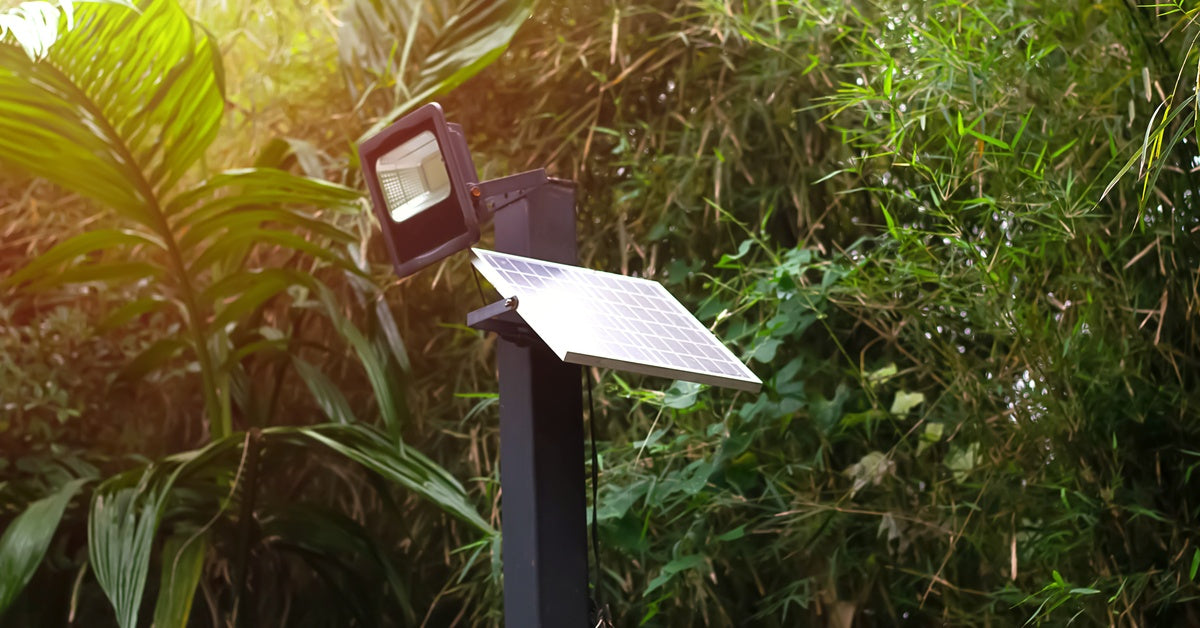 A solar spotlight sits surrounded by foliage during the daytime. It features a solar panel to collect the sun's energy.
