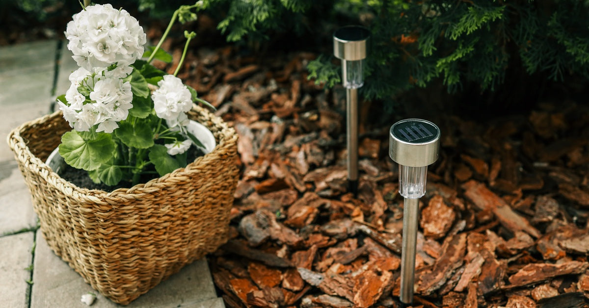 Two solar lights sit in between the edge of a path and a pine tree during the daytime. A basket sits on the path.