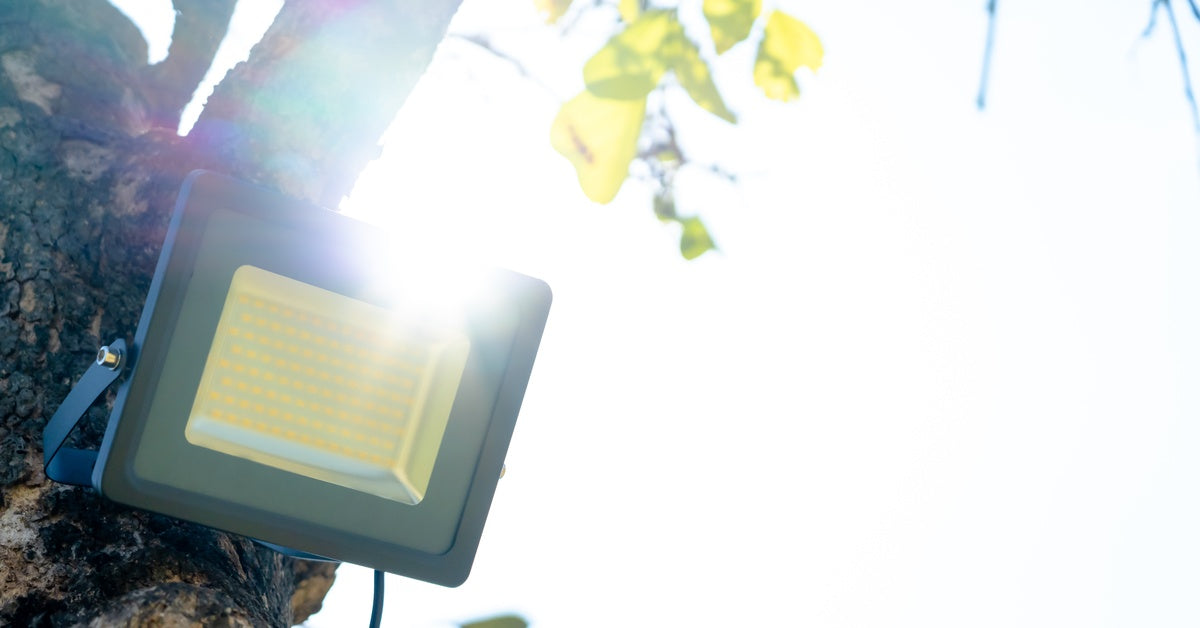 A solar spotlight mounted in a tree. The sun shines brightly through the leaves and casts a slight glare.