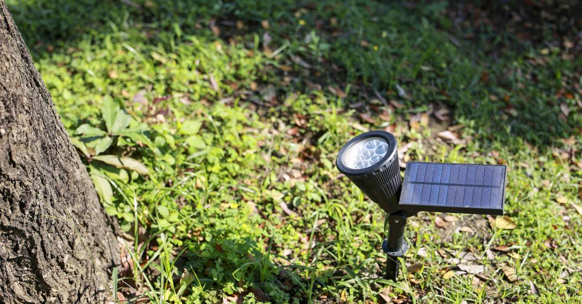 A small solar spotlight features a small solar panel. It sits in a grassy area next to a tree's trunk.