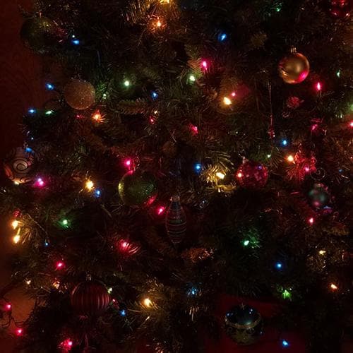 Outdoor Solar Store | Multi-Color LEDs Solar Christmas Light String