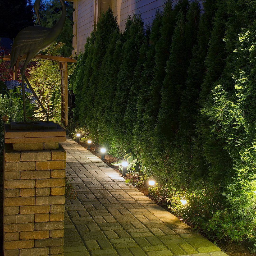 How Long Do Solar Lights Last?