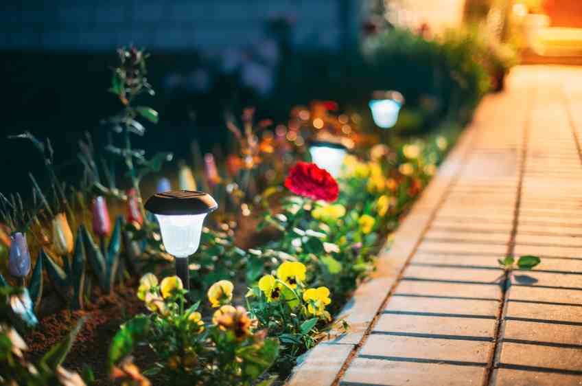 Solar lights sitting in a garden section of a lawn and shine at night. The lights are next to a path in the grass.