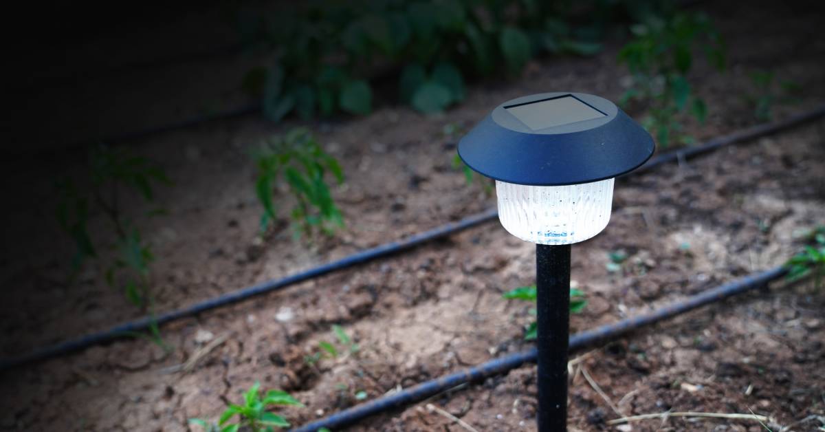 A decorative solar light shines while it sits in the dirt of a garden. Green plants and cables sit nearby.