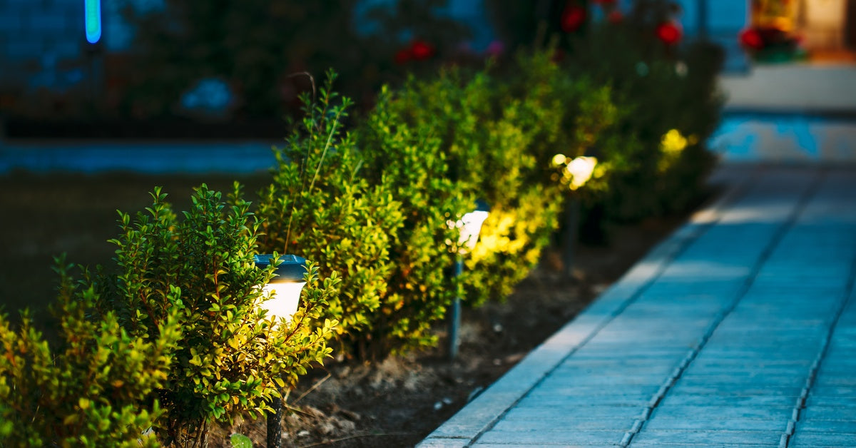 A row of solar lights shines at night. Each one stands between plants along a concrete pathway leading to a house.