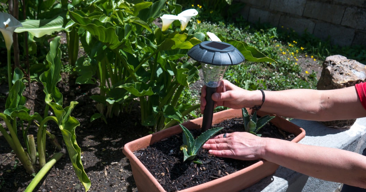 Close-up of a person's hands placing a solar fixture in a plastic container with a plant and soil, next to a garden.