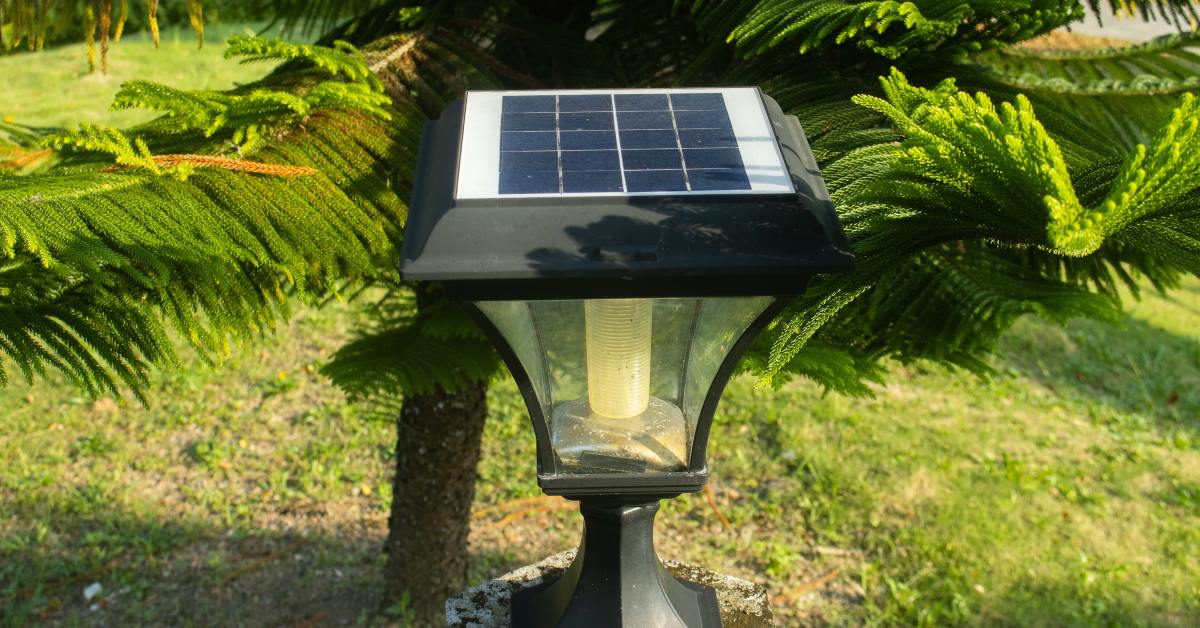 A solar lamp light sits on a property, next to an evergreen tree. It has a large solar panel on the top.