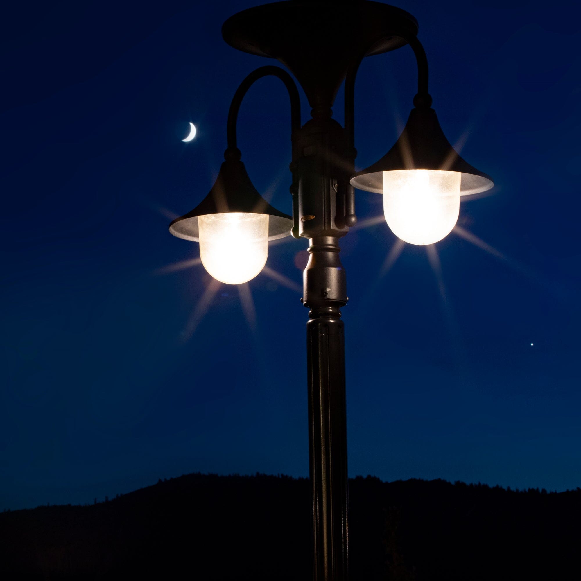 Everest II Double Lamp | Commercial Solar Light