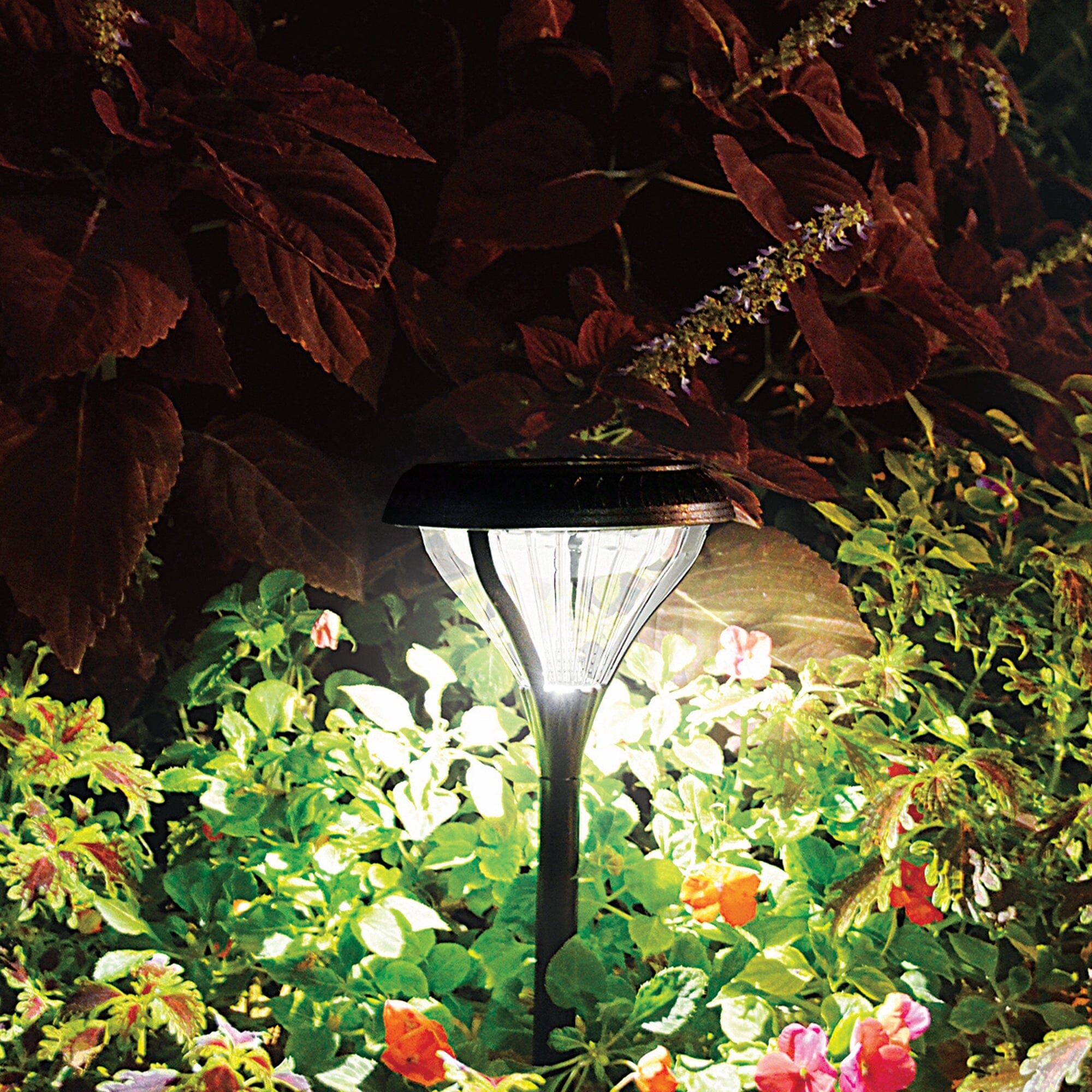 Classic Solar Pathway Light | 2 Pack | Choose Bright or Warm White