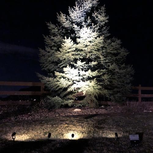 Outdoor Solar Store | Quadruple Warm White Solar Spot Light